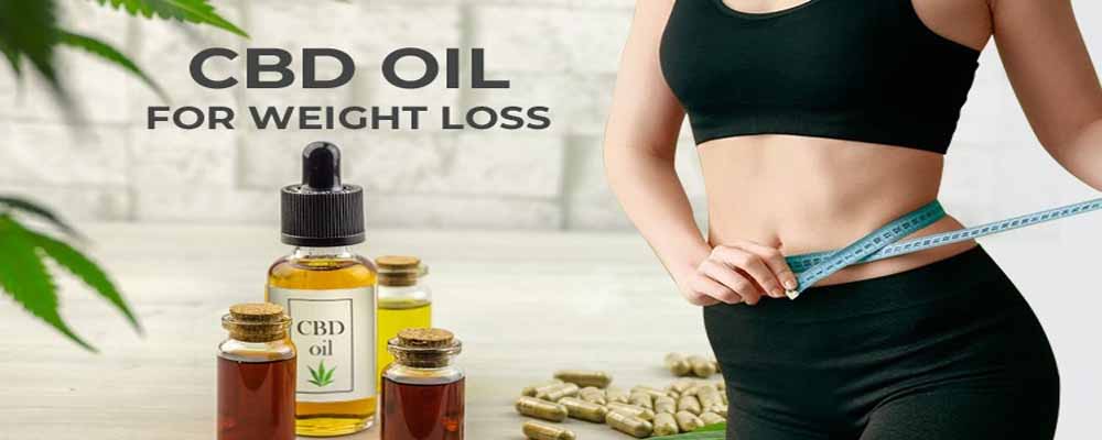 CBD oil Benefits for Weight Loss