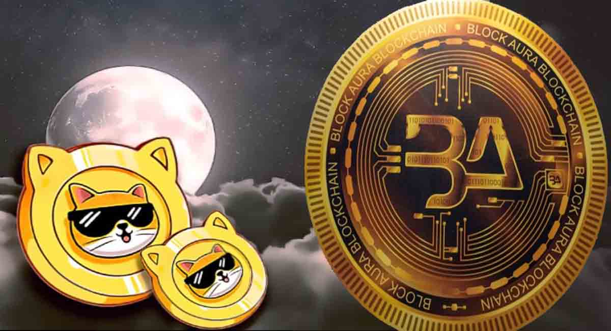 Buy Pancat Cryptocurrency (Important Rules)