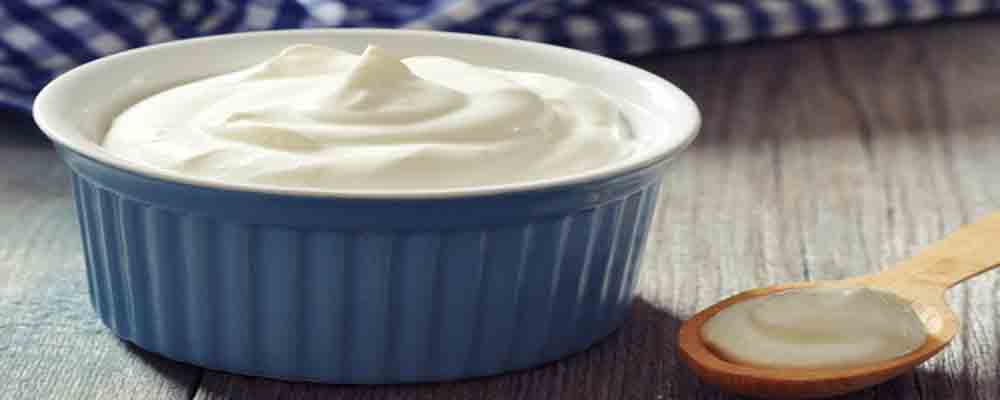 Eat Curd - Mix These 4 Foods To Cool Your Stomach