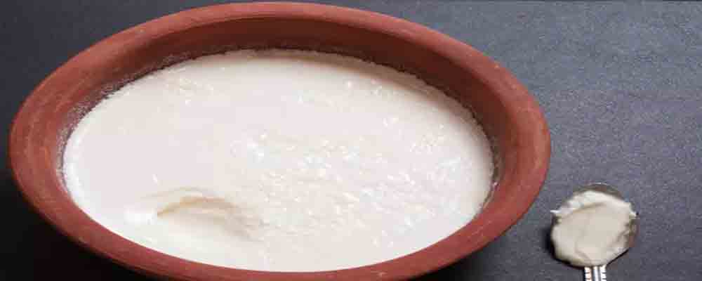 Foods To Cool Your Stomach - The Right Season to Eat Curd